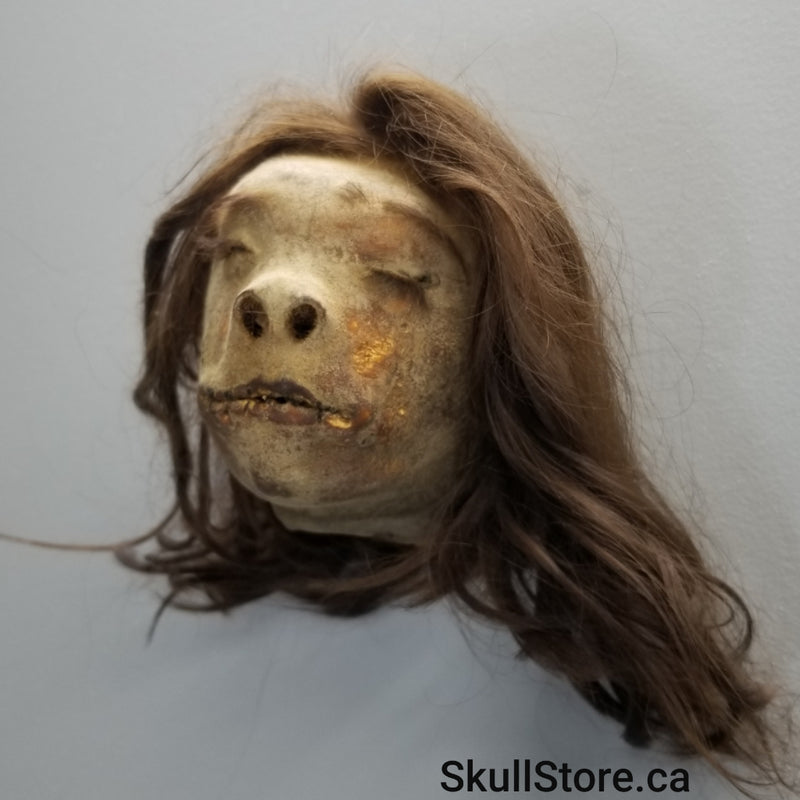 Shrunken Head, Human