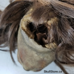 Shrunken Head, Human