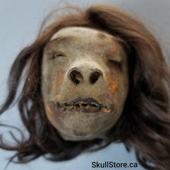 Shrunken Head, Human