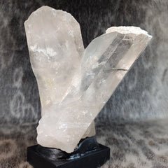 Brazilian Quartz Crystal XL, B (7