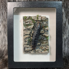 Giant Glow Worm (Firefly Larvae), Diorama