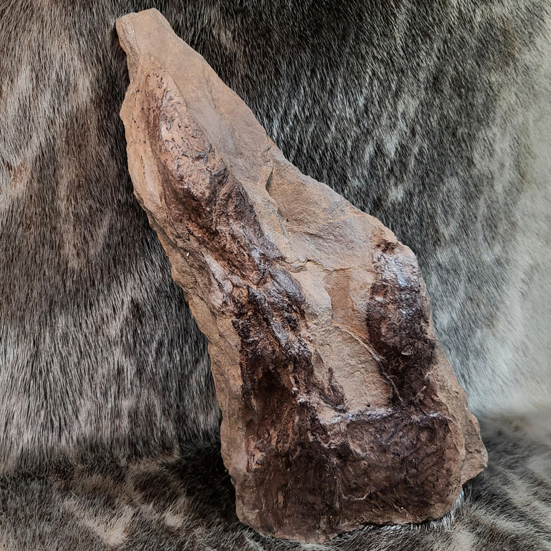 Dinosaur Footprints E (11")
