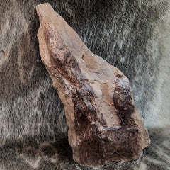 Dinosaur Footprints E (11