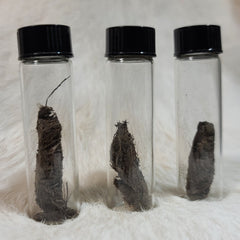 Woolly Mammoth Poop Vials