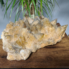 Dogtooth Calcite Crystal Cluster XXL (14
