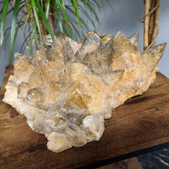 Dogtooth Calcite Crystal Cluster XXL (14