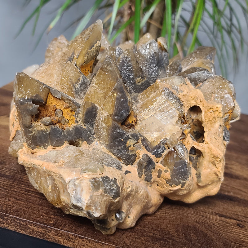 Dogtooth Calcite Crystal Cluster XXL (14")