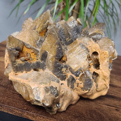 Dogtooth Calcite Crystal Cluster XXL (14