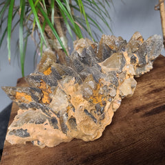 Dogtooth Calcite Crystal Cluster XXL (14