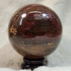 Petrified Wood Sphere A (3.5