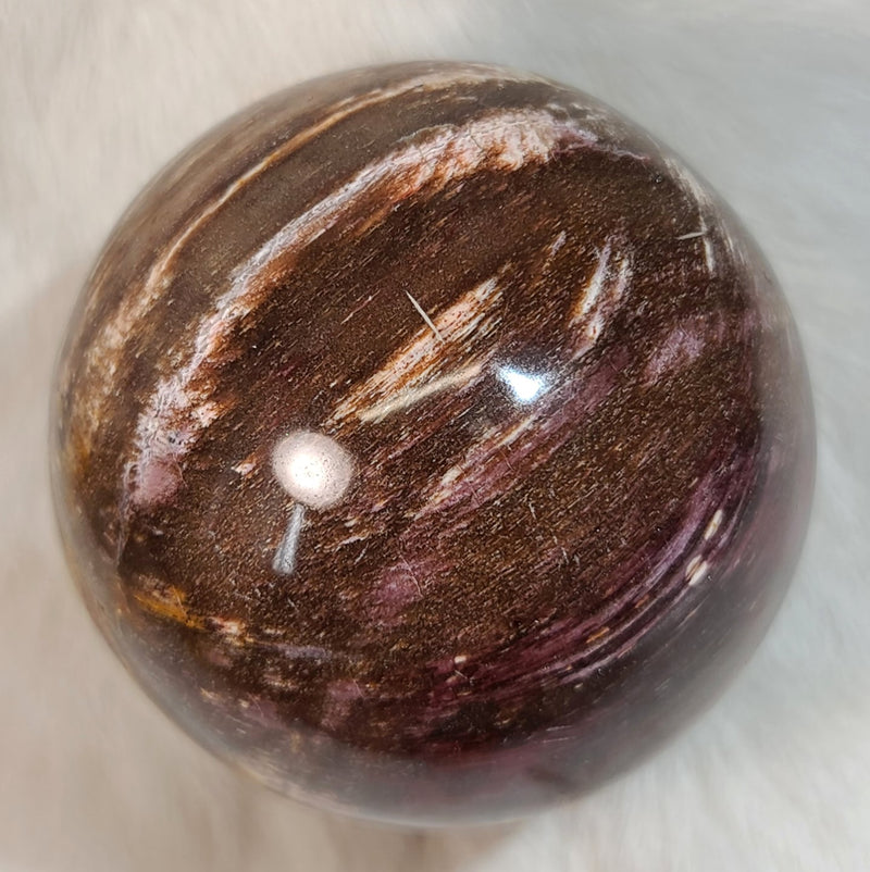 Petrified Wood Sphere A (3.5")