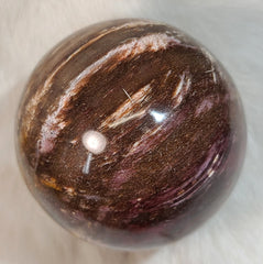 Petrified Wood Sphere A (3.5
