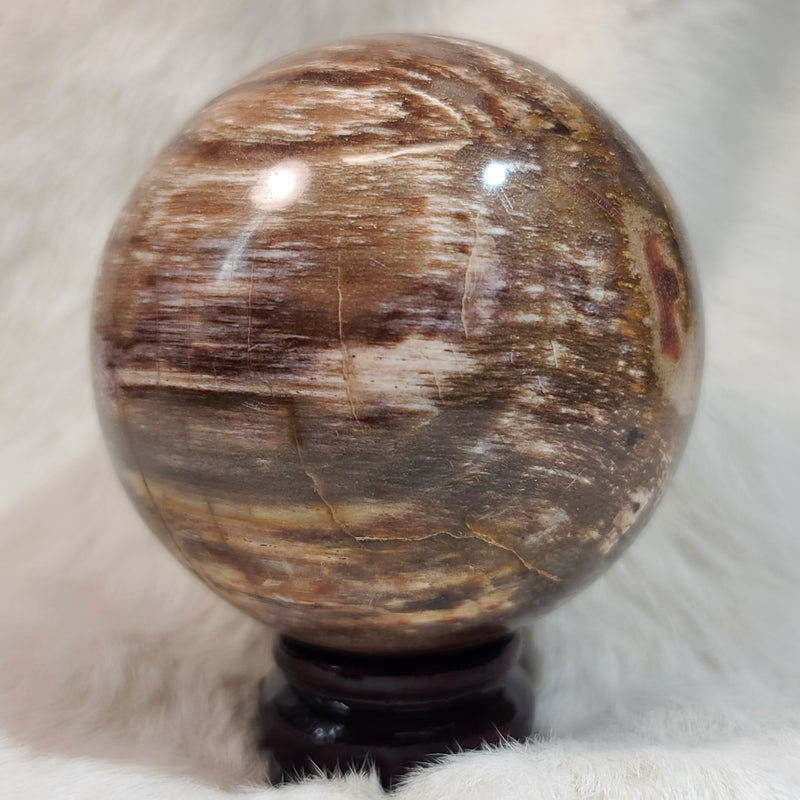 Petrified Wood Sphere A (3.5")