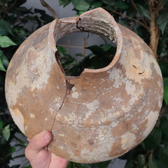 Ancient Shipwreck Pottery G, Roman