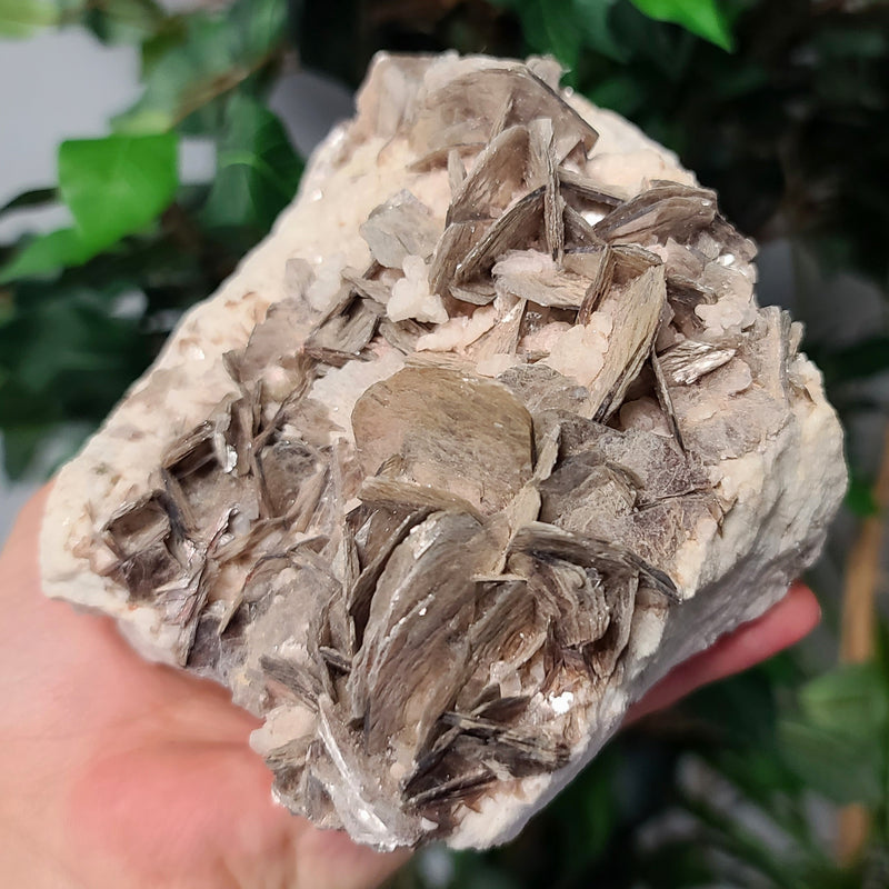 Muscovite Mica A, 7"