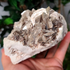 Muscovite Mica A, 7