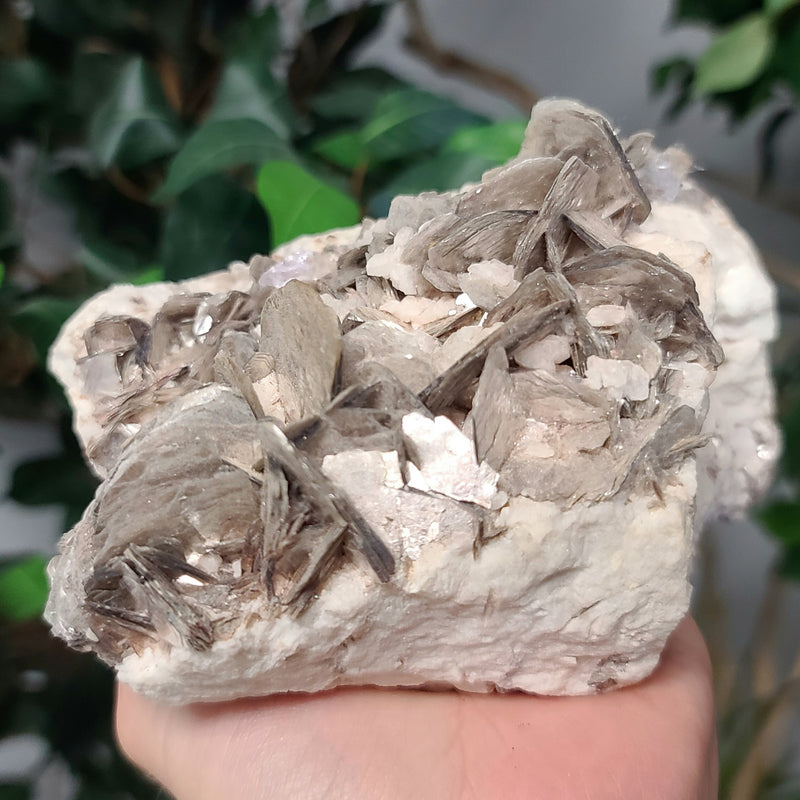 Muscovite Mica A, 7"