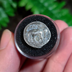 Greek Silver Drachma, King Antiochus III (Elephant Coin)