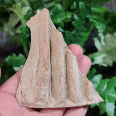 Ancient Greek Statuette Fragment K