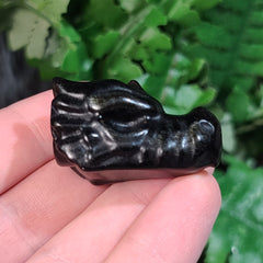Obsidian Dragon Head