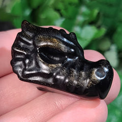 Obsidian Dragon Head