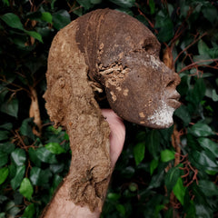 Vanuatu Ancestor Human Skull B