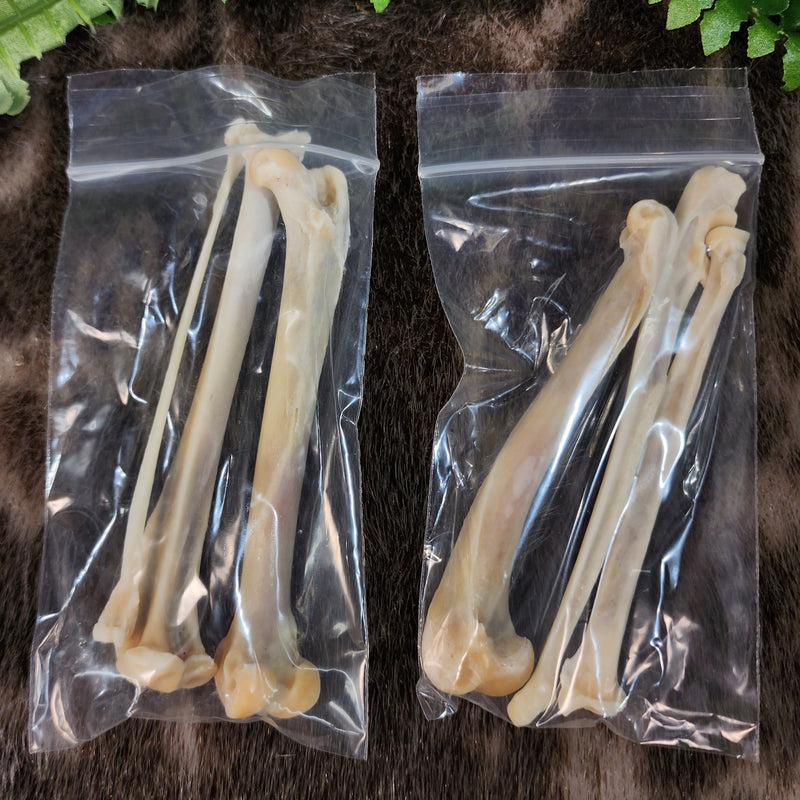 House Cat Leg Bone Bag