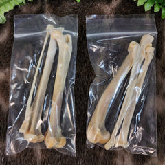 House Cat Leg Bone Bag