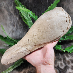 Ancient Egyptian Ibis Statue