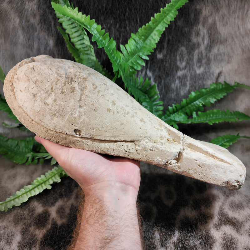Ancient Egyptian Ibis Statue