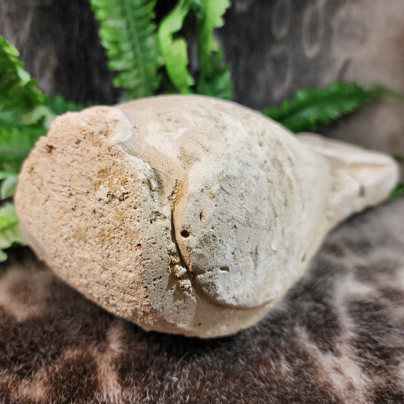 Ancient Egyptian Ibis Statue
