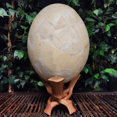 Elephant Bird Egg, B