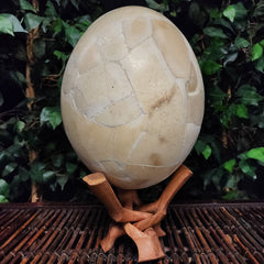 Elephant Bird Egg, B
