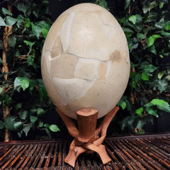 Elephant Bird Egg, B