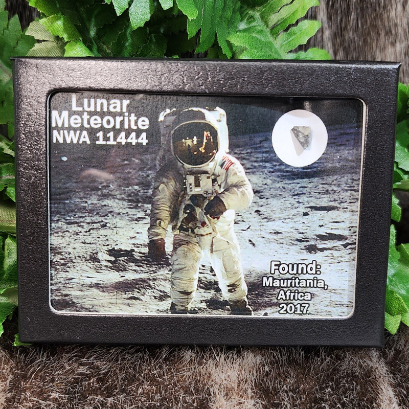 Lunar Meteorite - NWA 11444 (Framed)