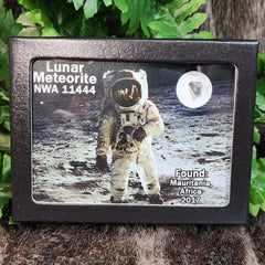 Lunar Meteorite - NWA 11444 (Framed)