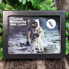 Lunar Meteorite - NWA 11444 (Framed)
