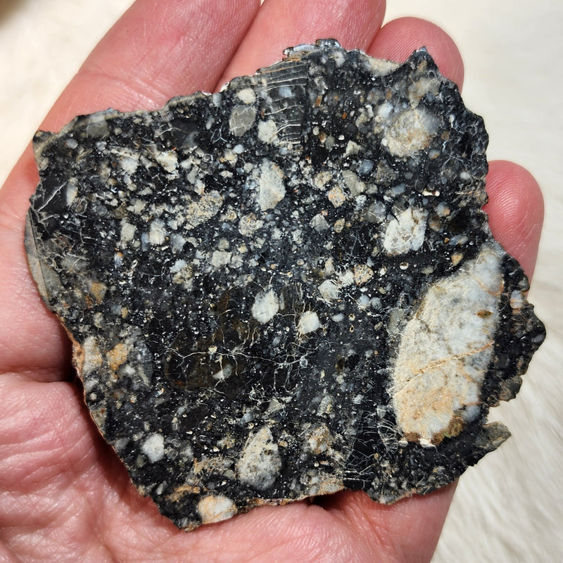 Lunar Meteorite Slice - NWA 15629 (10.28g)