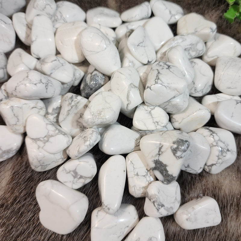 White Howlite, Tumbled PAIRS (1-1.25")