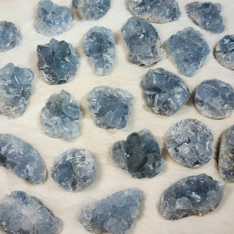 Blue Celestite Crystal Clusters (1.5")