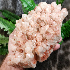 Hematite Quartz Cluster B (7.5