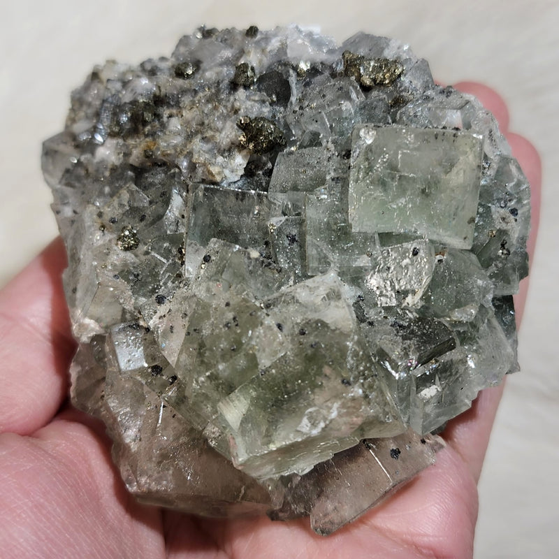 Fluorite & Pyrite A (3.75")