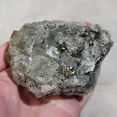 Fluorite & Pyrite A (3.75