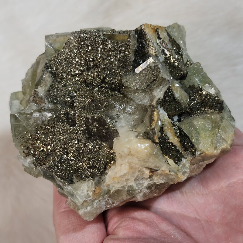 Fluorite & Pyrite C (4")