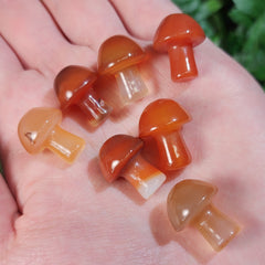 Carnelian Mushrooms