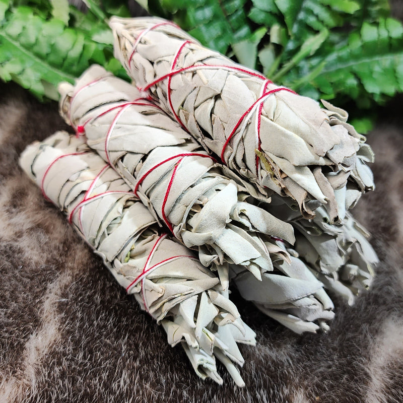 Buffalo Sage Smudging Bundles