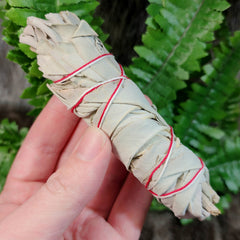 Buffalo Sage Smudging Bundles