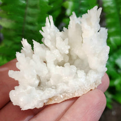 Aragonite & Calcite Crystal Clusters (2