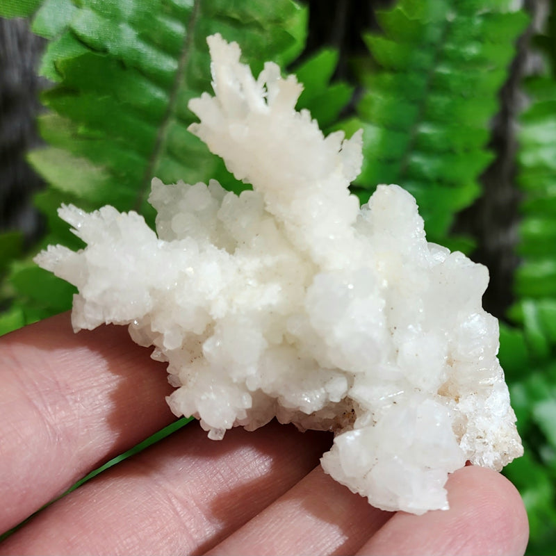Aragonite & Calcite Crystal Clusters (2")