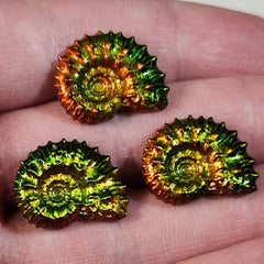 Rainbow Ammonite Pins
